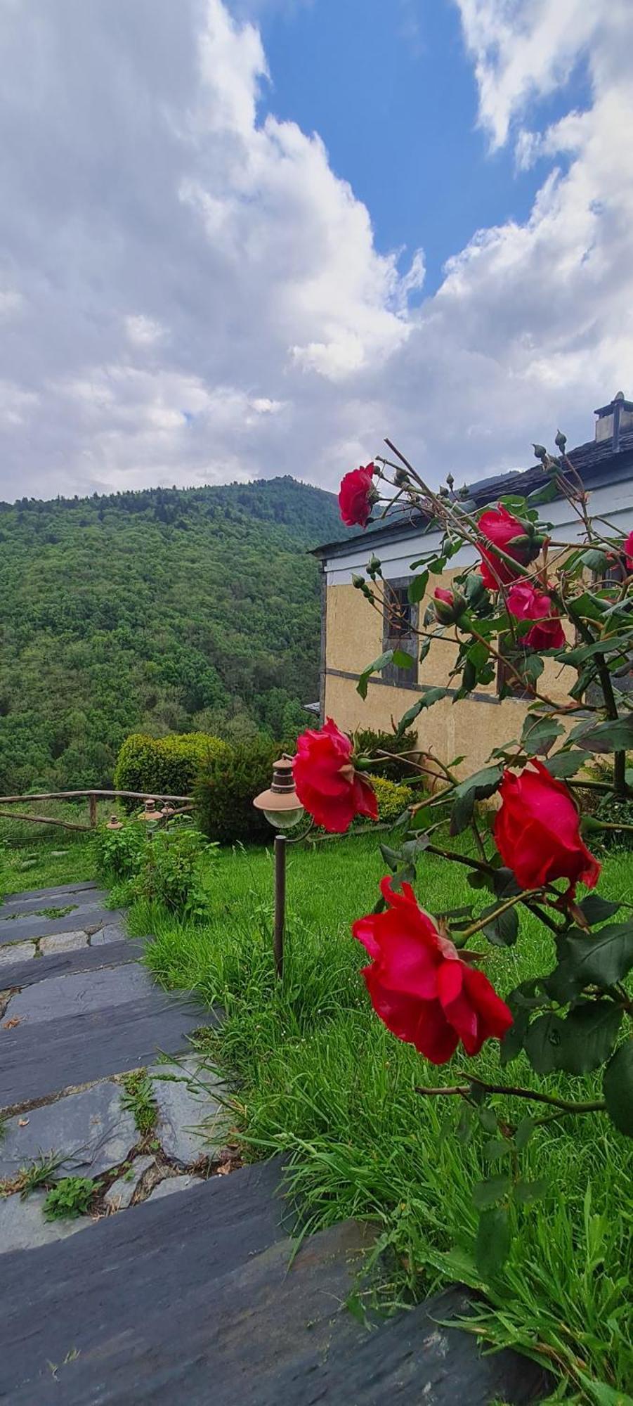 Apartamentos Rurales El Bosque De Las Vinas Boal Екстериор снимка